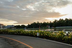 BIB: 
                            <button type="button" onclick="openModal(26555109)" class="btn btn-primary btn-sm float-right btn-popup" data-toggle="modal" data-target=".modal-high-quality">
                        <i class="fas fa-shopping-cart"></i> Add to Cart
                    </button>
                                            <button type="button" onclick="isThisMe(26555109, true)" class="btn btn-success btn-sm float-right btn-popup btn-isme hidden" data-toggle="tooltip" data-placement="bottom" title="นี่คือรูปของคุณใช่ไหม คลิกที่นี่เพื่อเอาเข้าอัลบั้ม">
                        <i class="fas fa-plus"></i> Add to album
                    </button>
                    <button type="button" onclick="isThisMe(26555109, false)" class="btn btn-warning btn-sm float-right btn-popup btn-isnotme hidden">
                        <i class="fas fa-ban"></i> Remove from album
                    </button>